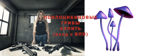 твердый Покачи