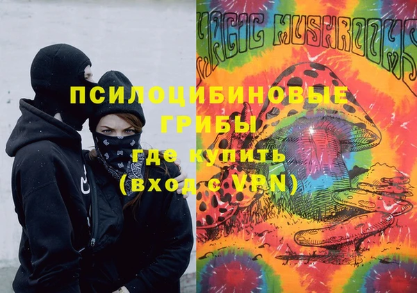 твердый Покачи