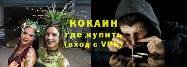 твердый Покачи