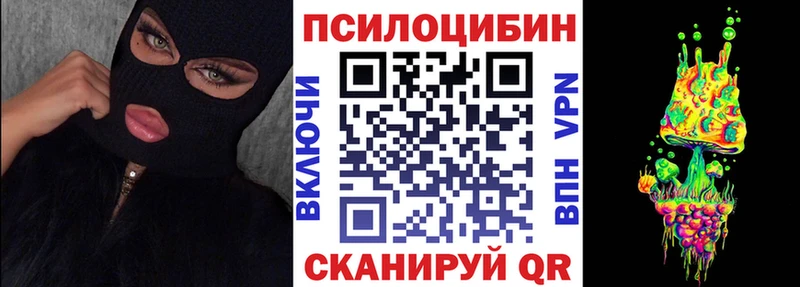 закладка  Ступино  Псилоцибиновые грибы Cubensis 