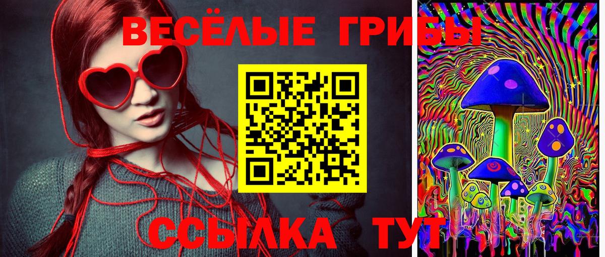 Ступино  Галлюциногенные грибы прущие грибы  Вход с VPN 